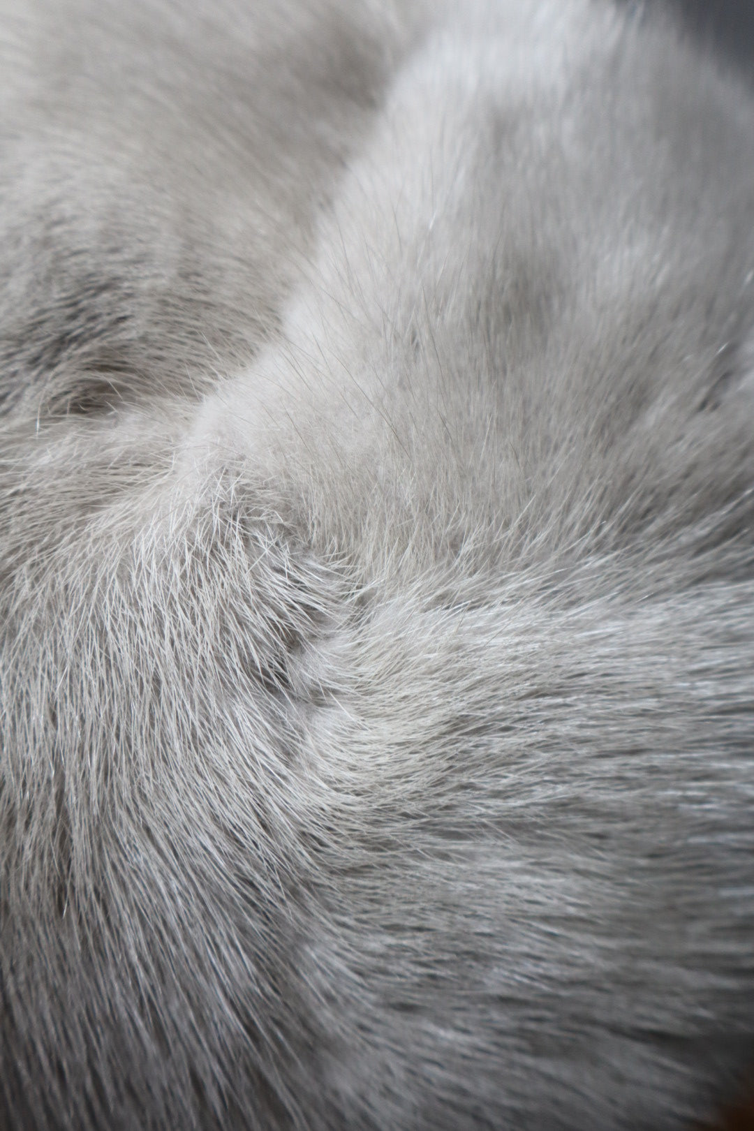 Grey 1950’s mink fur shawl & hat set